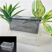 19cmx12,5cmx7,5cm Terrarium For Reptiles Spider Transparent Plastic Feeding Box Insect Food Feeding Container Δοχείο terrarium