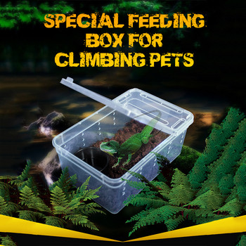 19cmx12,5cmx7,5cm Terrarium For Reptiles Spider Transparent Plastic Feeding Box Insect Food Feeding Container Δοχείο terrarium
