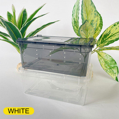 19cmx12,5cmx7,5cm Terrarium For Reptiles Spider Transparent Plastic Feeding Box Insect Food Feeding Container Δοχείο terrarium