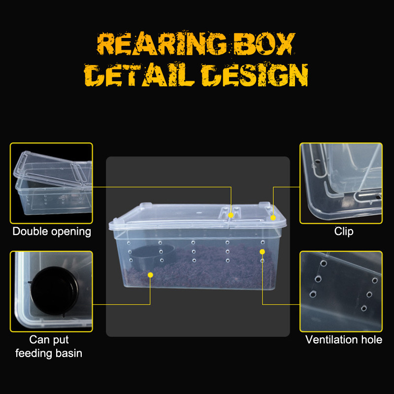 19cmx12,5cmx7,5cm Terrarium For Reptiles Spider Transparent Plastic Feeding Box Insect Food Feeding Container Δοχείο terrarium