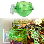 Reptile Water Bowl Βεντούζα βεντούζα ερπετών Τροφοδότης ερπετών Gecko Feeder Chameleon Bowl Αξεσουάρ προεξοχής ερπετών Προμήθειες για κατοικίδια