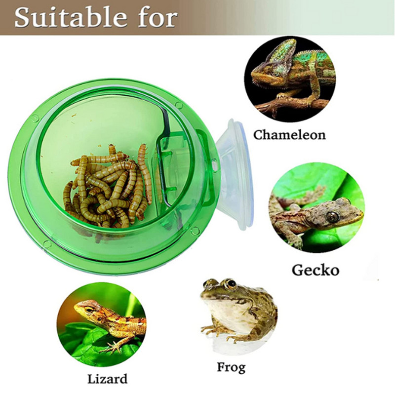 Reptile Water Bowl Βεντούζα βεντούζα ερπετών Τροφοδότης ερπετών Gecko Feeder Chameleon Bowl Αξεσουάρ προεξοχής ερπετών Προμήθειες για κατοικίδια