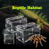 Cutie de reproducere a reptilelor Păianjen acrilic Soparla Micro habitate Reptile Terariu detasabil Rezervor de vivarium