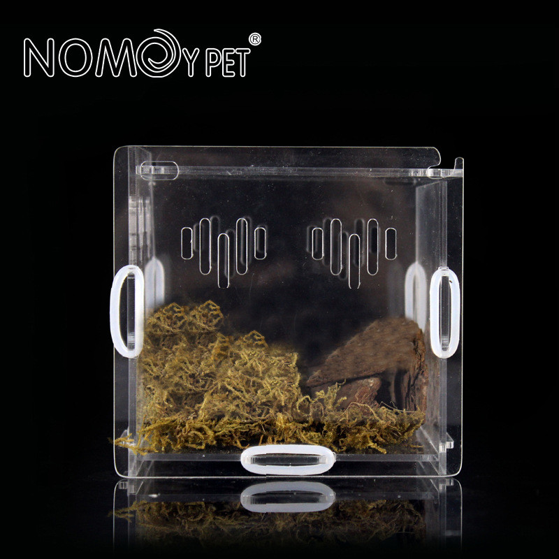 Cutie de reproducere a reptilelor Păianjen acrilic Soparla Micro habitate Reptile Terariu detasabil Rezervor de vivarium