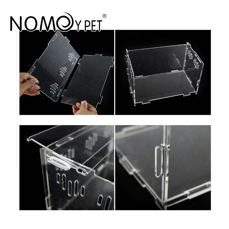 Cutie de reproducere a reptilelor Păianjen acrilic Soparla Micro habitate Reptile Terariu detasabil Rezervor de vivarium