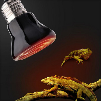 Day Night Amphibians Amphibious Snake Lamp Heat Reptile Lamp 25W 50W 100W AC220240V Dropshipping Fast Heating