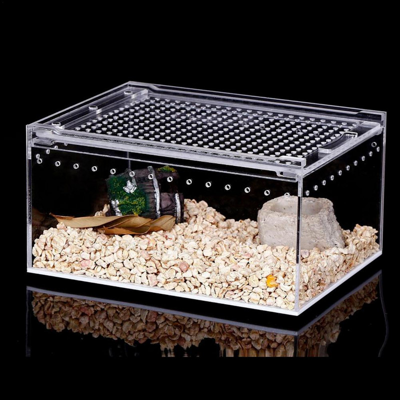 Păianjen negru văduvă, terariu respirabil pentru insecte mici, cutie transparentă de reproducere a reptilelor, cutie de hrănire tip capac glisant acrilic