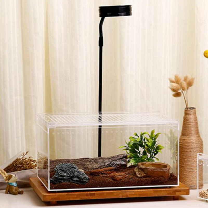 Păianjen negru văduvă, terariu respirabil pentru insecte mici, cutie transparentă de reproducere a reptilelor, cutie de hrănire tip capac glisant acrilic