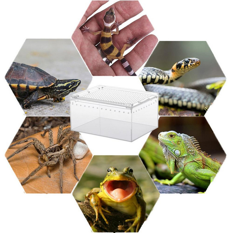 Păianjen negru văduvă, terariu respirabil pentru insecte mici, cutie transparentă de reproducere a reptilelor, cutie de hrănire tip capac glisant acrilic
