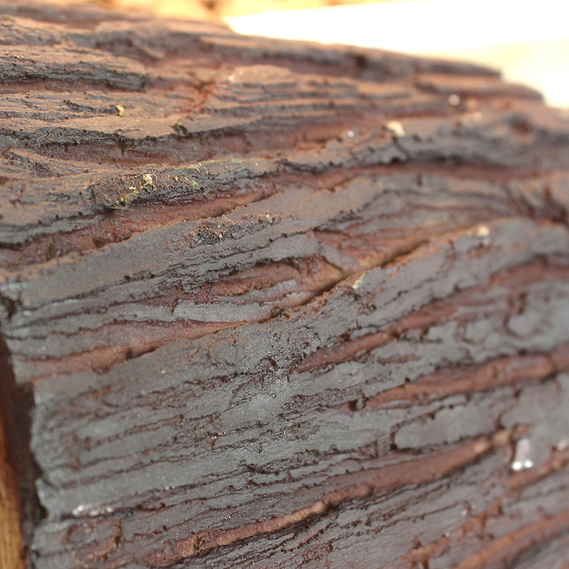 Ρητίνη Χελώνα Ερπετό Απόκρυψη Ερπετών Σπηλαίων Αποφυγή Σπηλαίων Προσομοίωση Φλοιός δέντρου Αμφίβια Τοπίο Διακόσμηση κουτιού διατροφής σαύρας