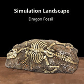 Roomaja sisalik madu kilpkonn peidukoht koobas Fossiilne sisekujundus Peida peidumaja tuba vaigust terraariumi kaunistus