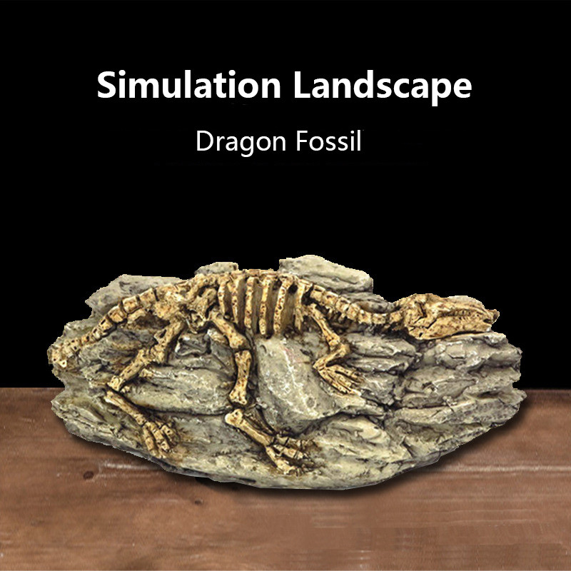 Roomaja sisalik madu kilpkonn peidukoht koobas Fossiilne sisekujundus Peida peidumaja tuba vaigust terraariumi kaunistus