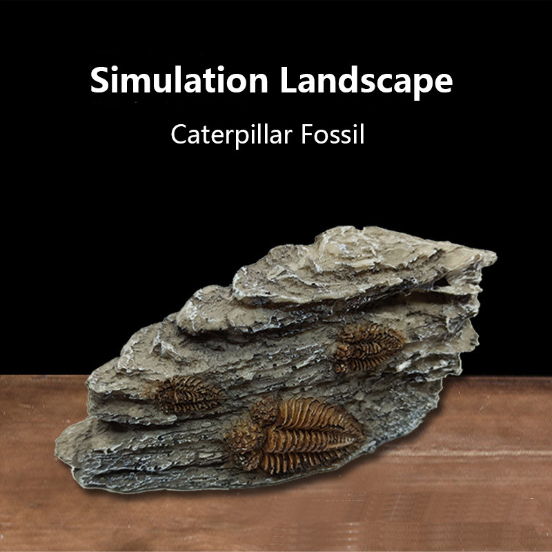 Roomaja sisalik madu kilpkonn peidukoht koobas Fossiilne sisekujundus Peida peidumaja tuba vaigust terraariumi kaunistus