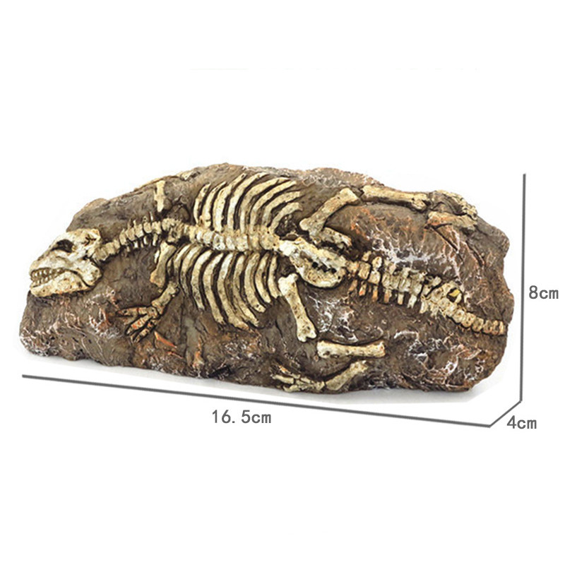Roomaja sisalik madu kilpkonn peidukoht koobas Fossiilne sisekujundus Peida peidumaja tuba vaigust terraariumi kaunistus
