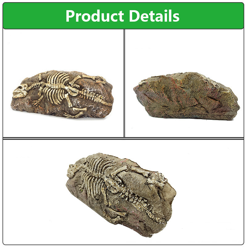 Roomaja sisalik madu kilpkonn peidukoht koobas Fossiilne sisekujundus Peida peidumaja tuba vaigust terraariumi kaunistus