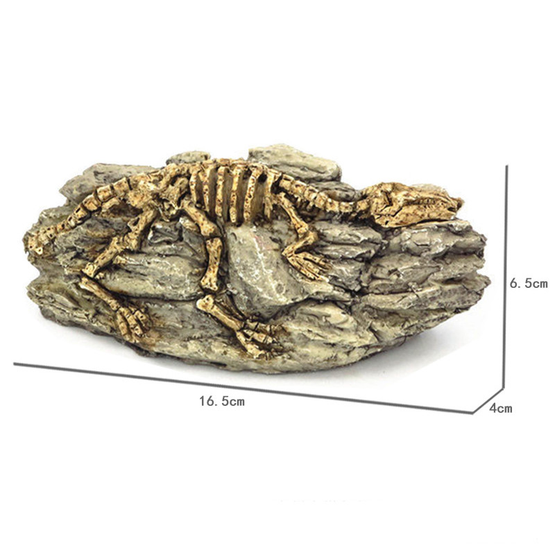 Roomaja sisalik madu kilpkonn peidukoht koobas Fossiilne sisekujundus Peida peidumaja tuba vaigust terraariumi kaunistus