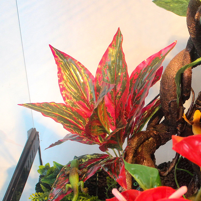 Διακοσμητικό Φυτό Προσομοίωσης Ερπετών Κουτί Στολίδι Τοπίο Στολίδι Ενυδρείο