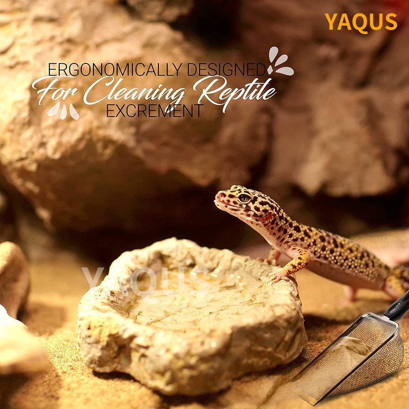 Naminių gyvūnėlių valymo įrankiai Nerūdijančio plieno išmatos Kastuvas Tinklas kačių kraikas Kastuvas Ropliai Driežas Smėlis Kastuvas Tinklelis Išmatų šaukštas