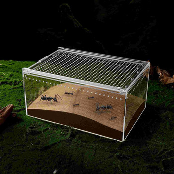 Кутия за влечуги Терариум Клетка с резервоар Скрий се Местообитание за размножаване на костенурка Заграждение за насекоми Хамак Стъклени растения Скривалища на паяк гущер Гекон