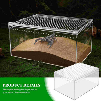 Reptile Box Terrarium Tank Cage Hide Breeding Turtle Habitat Εντόμων Περίβλημα Αιώρα Glassplants Spiderlizard Hideouts Gecko
