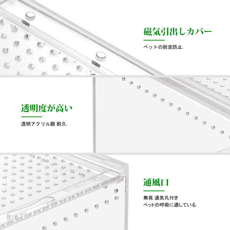 Roomajate kast terraariumi paakpuur Nahk pesitseb kilpkonna elupaik Putukate aedik võrkkiik Klaastaimed Ämbliksisaliku peidikud Geko