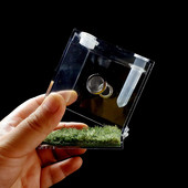 Spider roomajate terraarium akrüülist roomajate kasvatuskast terraariumi tarvikud putukakast ämblikrikettigu tarantula jaoks