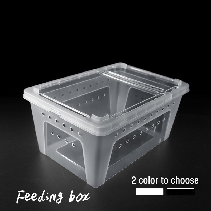 Rāpuļu barošanas kaste Vivārija terārijs Caurspīdīga audzēšanas kaste Bruņurupuču ķirzaka Čūska Mikro dzīvotnes Rāpuļu transportēšana