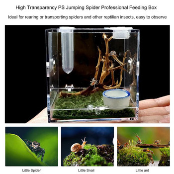 Small Reptiles Breeding Box Clear Acrylic Cage Habitat Insect Feeding Box Terrarium Tank Escape Proof For Jumping Spider S/M/L