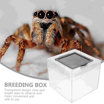 Box Habitat Tarantula Cage Enclosure Reptile Spider Feeding Terrarium Breeding Snake Tank Container Cricket Bowl House Crab