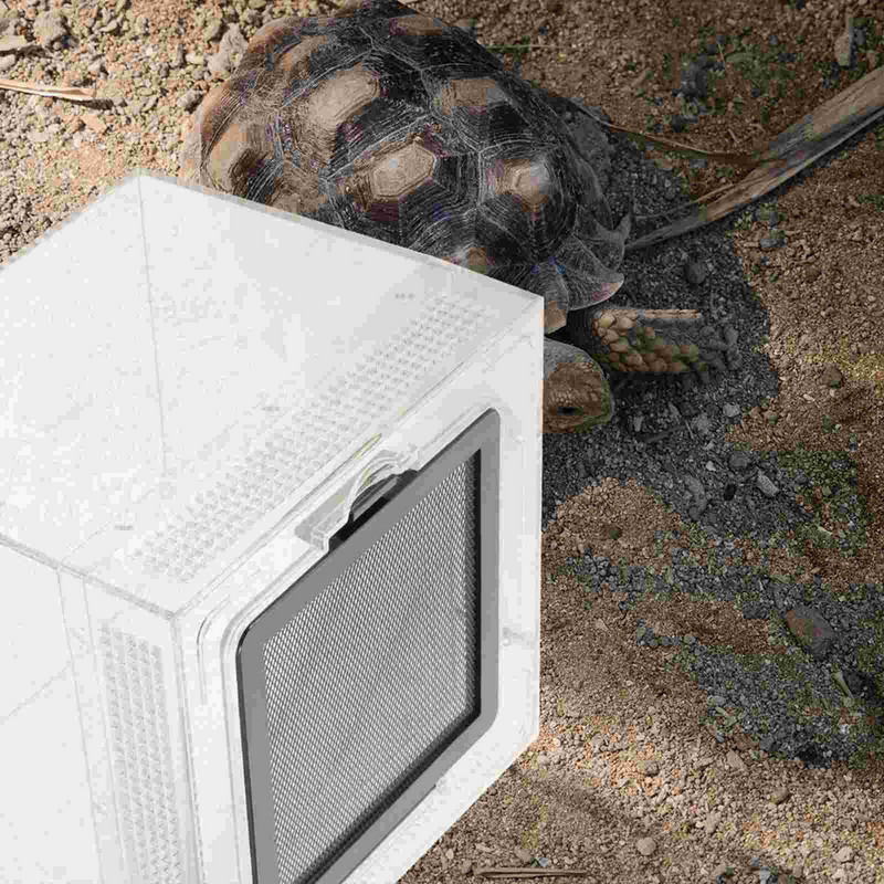 Cutie Habitat Tarantula Cușcă Incinta Reptile Păianjen Hrănire Terariu Creștere Sarpe Rezervor Recipient Cricket Bol Crab Casă