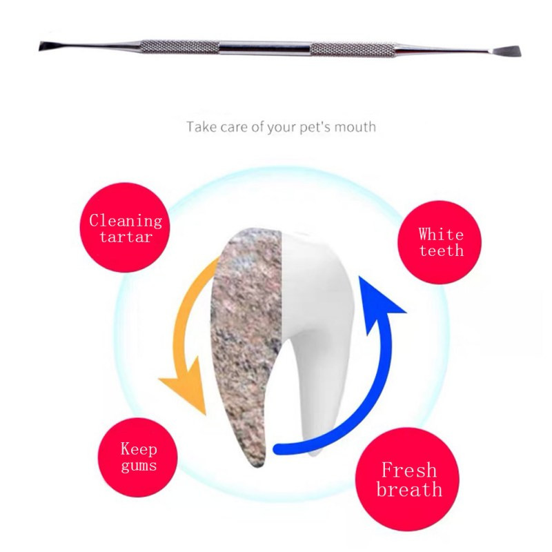 Naminių šunų kačių dantų akmenų valymas Specialus įrankis Nerūdijančio plieno dvigalvis dantų šepetėlis Blogo burnos kvapo dantų priežiūra naminių gyvūnėlių reikmenims