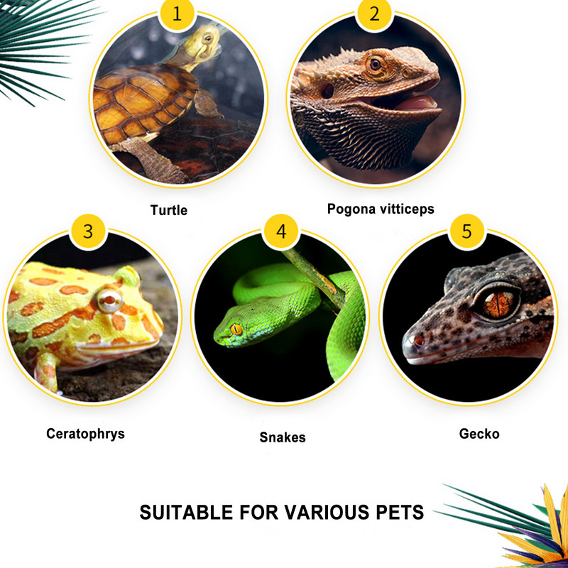 Mini cutie de reproducere din sticlă pentru reptile, cutie transparentă pentru reproducere pentru amfibieni, mini cușcă atractivă pentru incintă pentru reptile