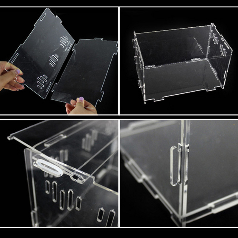 Uus akrüülist terraariumi ämblikukasvatuskast roomajate söötmiskast lemmikloomade terraariumi ronimiseks, madu ämbliksisalik Skorpion sajajalgne