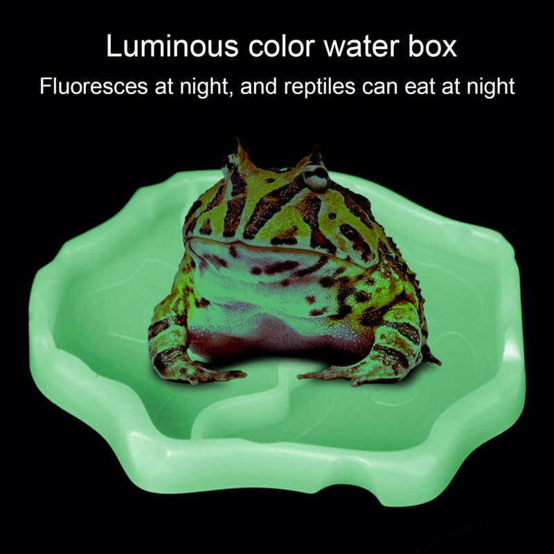 Roplių vandens tiektuvas Nuimama konstrukcija Daugiafunkcis plastikinis maisto dozatorius Automatinis vandens fontanas vėžliui barzdotajam drakonui