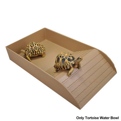 Vėžlio vandens dubuo laipiojimas su rampa naminių gyvūnėlių reikmenimis vonia vonia kaitinimosi platforma ABS driežas krabų baseinas saulės terasa maistas roplys