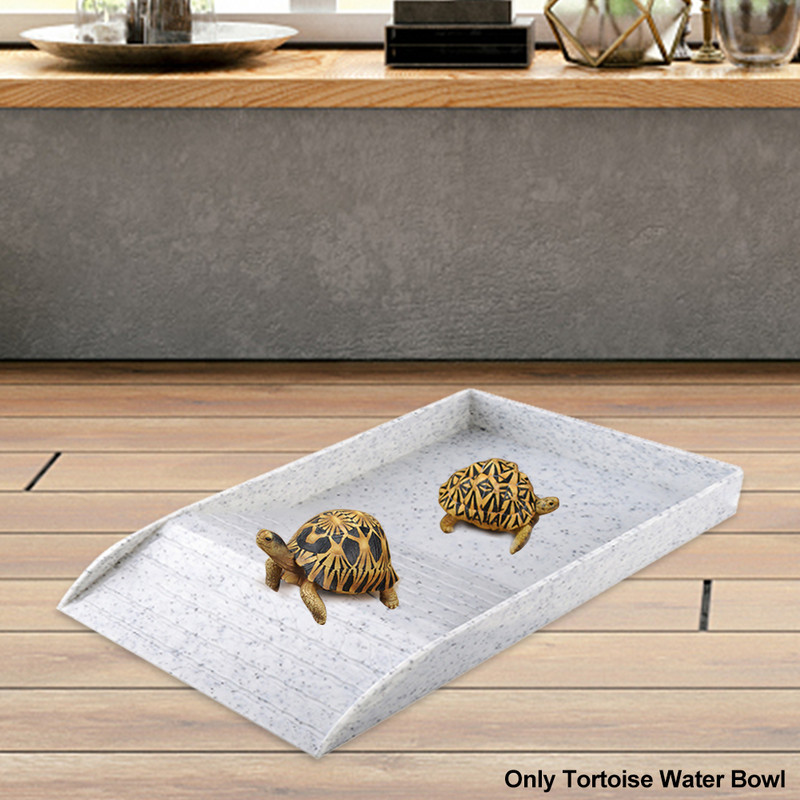 Χελώνα νερό μπολ αναρρίχηση με ράμπα προμήθειες για κατοικίδια Μπανιέρα Μπανιέρα Basking Platform ABS Lizard Crabs Basin Sun Terrace Food Reptil