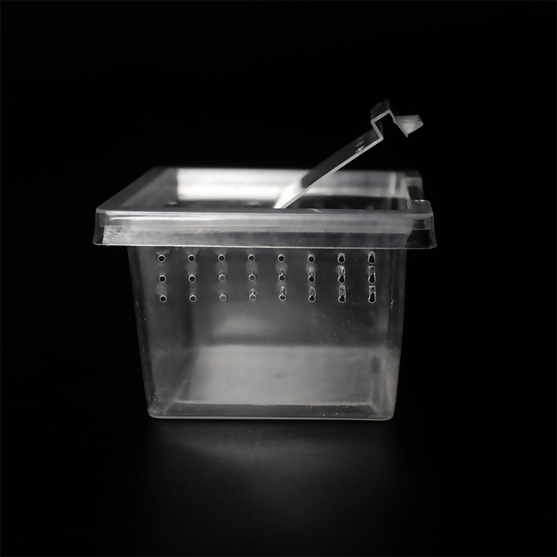 Kutija za hranjenje reptila od 10 komada, prozračna posuda za uzgoj insekata