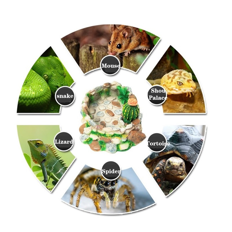 Rāpuļu barība/ūdens trauks ar sveķu pārtikas trauku padeves trauks bruņurupuču ūdens dozators mājdzīvnieku terārija ainava