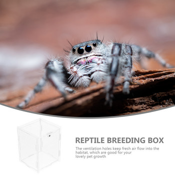 Reptile Box Container Feeding Breeding Transparent Mini Tank Hatching Casesnake Turtle Cagecarrier Bottle Spider Pet Climbing