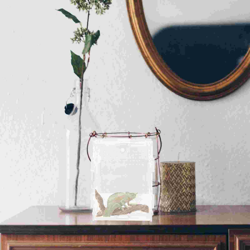 Reptile Box Container Feeding Breeding Transparent Mini Tank Hatching Casesnake Turtle Cagecarrier Bottle Spider Pet Climbing