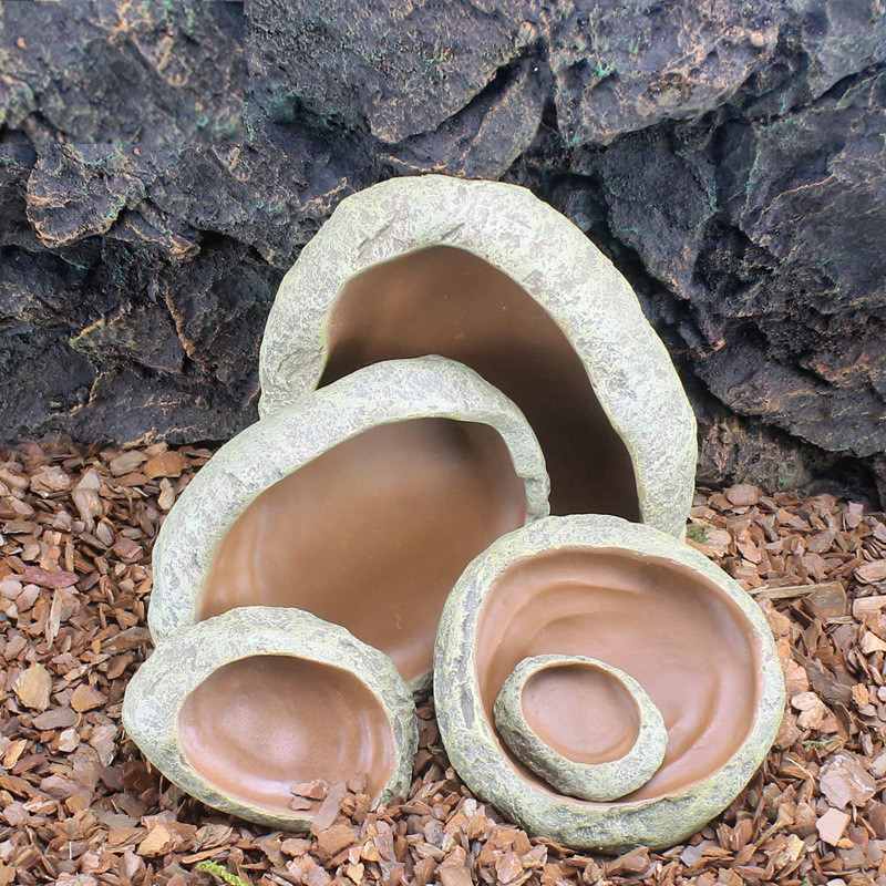 Τροφοδότης ερπυστριοφόρος κατοικίδιο ζώο Μπολ Λεκάνη Ρητίνη Μη τοξική τροφή Γλαστράκι με νερό Ερπετό Χελώνα Χελώνα Σκορπιός Σαύρα Καβούρια Κατοικίδια Προμήθειες