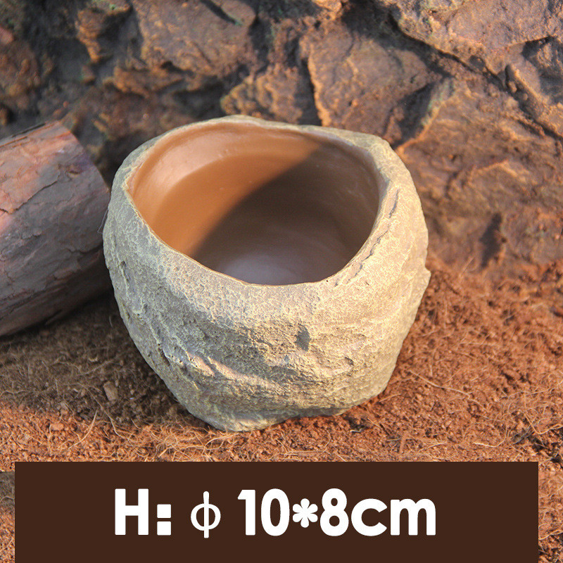 Τροφοδότης ερπυστριοφόρος κατοικίδιο ζώο Μπολ Λεκάνη Ρητίνη Μη τοξική τροφή Γλαστράκι με νερό Ερπετό Χελώνα Χελώνα Σκορπιός Σαύρα Καβούρια Κατοικίδια Προμήθειες