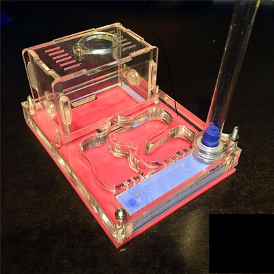 Didelės erdvės akrilo dėžutės skruzdžių lizdas su Murv, Formicaria skruzdžių ferma