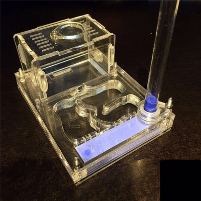 Didelės erdvės akrilo dėžutės skruzdžių lizdas su Murv, Formicaria skruzdžių ferma