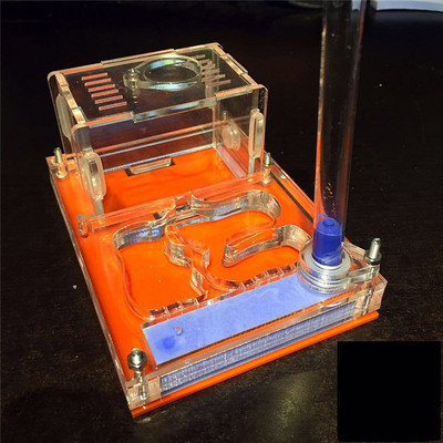 Didelės erdvės akrilo dėžutės skruzdžių lizdas su Murv, Formicaria skruzdžių ferma