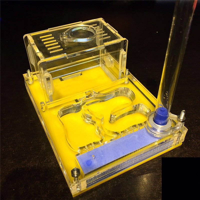 Didelės erdvės akrilo dėžutės skruzdžių lizdas su Murv, Formicaria skruzdžių ferma