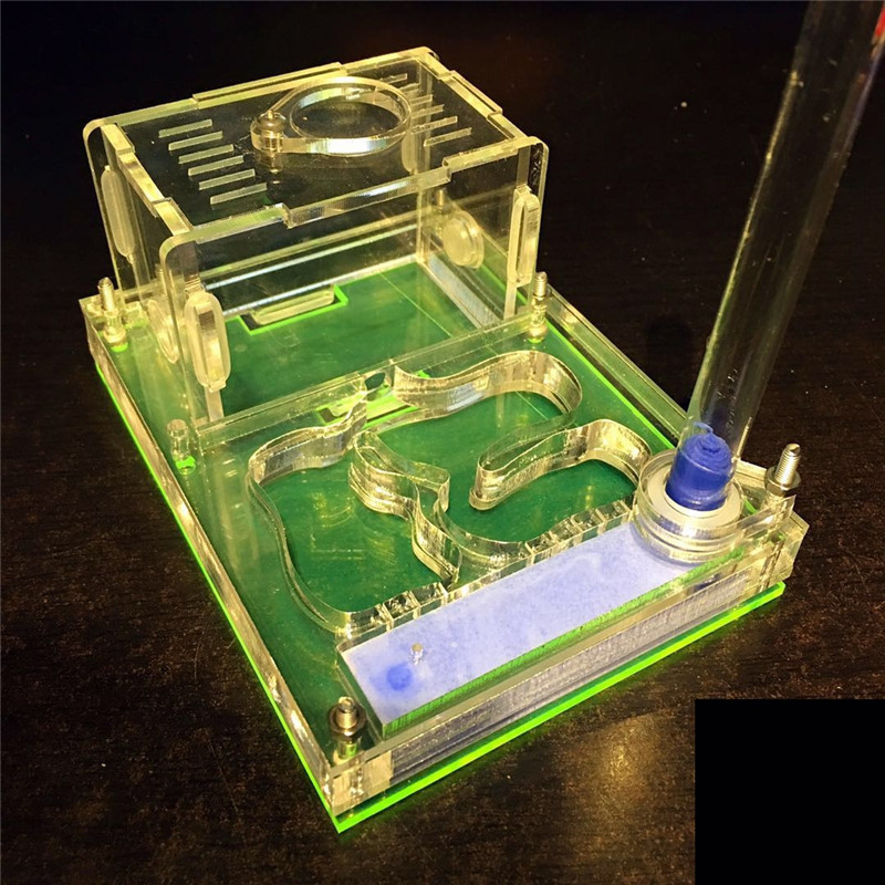 Didelės erdvės akrilo dėžutės skruzdžių lizdas su Murv, Formicaria skruzdžių ferma