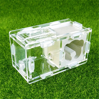 Cuibul de furnici de gips Cuib de furnici Atelier de vilă Pyramid Hill Imitație ecologică Acrilic Cuib de furnici