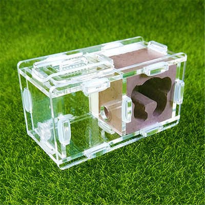 Cuibul de furnici de gips Cuib de furnici Atelier de vilă Pyramid Hill Imitație ecologică Acrilic Cuib de furnici