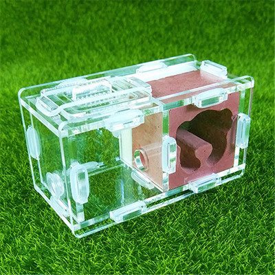 Cuibul de furnici de gips Cuib de furnici Atelier de vilă Pyramid Hill Imitație ecologică Acrilic Cuib de furnici